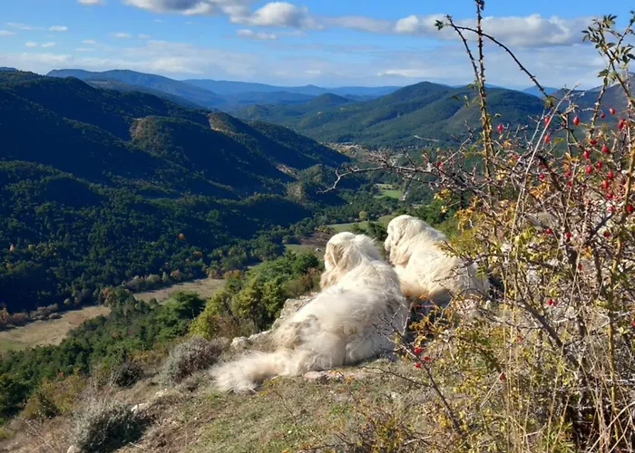 La Mountagna Lodge *